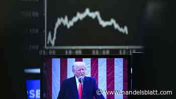 Interview: Nach Trumps Zollschlag: Fidelity-Fondsmanager Ackermans sieht nun zwei Szenarien für die Börse
