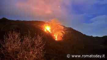 Brucia il bosco: in fiamme sette ettari di ulivi e castagni