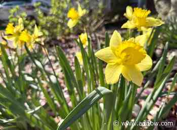 Morning Notes for April 9, 2025