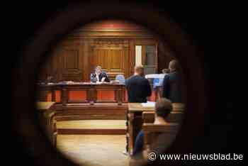 Werkstraf voor man die tijdens oudejaarsnacht met luchtdrukgeweer schoot