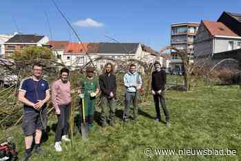 Bewoners Wijk De Parken bouwen organische toegangspoort op de Kop van Prado