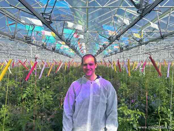 Tom (36) en Mathias (27) zetten met Tomato Masters in op innovatieve zonnepanelen die in de serres hangen: “Altijd op zoek naar manieren om ecologische voetafdruk te verkleinen”