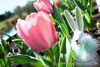 Ostern 2025 im Kreis Höxter