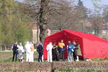 Lichaam gevonden in veld in Brecht: politie start onderzoek