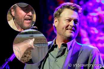 Blake Shelton Is Dealing With a Duck Problem [Watch]