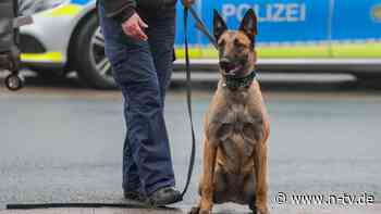 Wie gut ist die Ausbildung?: Wenn Polizeihunde zur Gefahr werden