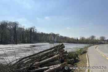 Voorbereidende werken gestart aan Zoete Waters, en dat zorgt voor kaal uitzicht: “Bomenkap is intens, maar noodzakelijk”