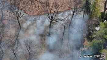 High Park and South Humber Park to carry out traditional, prescribed burns in April