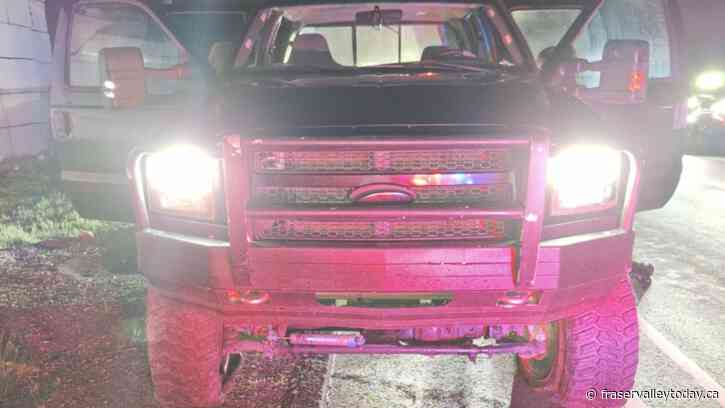 Abbotsford police use spike belt to stop prolific offender with long rap sheet