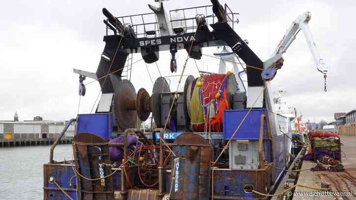 Van bordenvisserij op pijlinktvis naar twinrigvisserij op schol