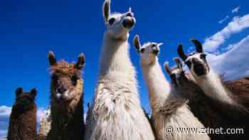 Meta's Llama 4 'herd' controversy and AI contamination, explained