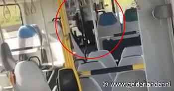 Buschauffeur belaagd: vijf mannen aangehouden, beelden massaal gedeeld