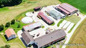 Pionierprojekt in der Landwirtschaft: Erste Insektenmastanlage für Burghausen geplant