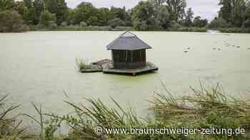 So wird Braunschweigs Dowesee fit für die Zukunft gemacht