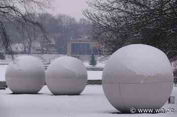 AfD äußert „groteske“ Kritik an Skulptur-Projekten