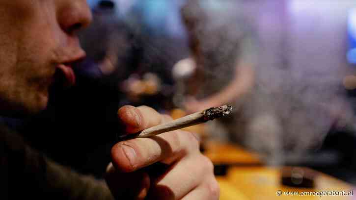 Dit is waarom drugs tot 48 uur na gebruik je rijgedrag beïnvloeden