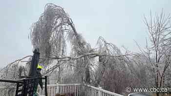 Over 16,700 customers still don't have power in Ontario after ice storm: Hydro One