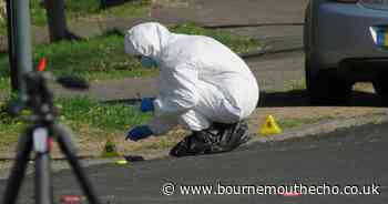 Murder inquiries in BCP: What we know after four investigations launched this year