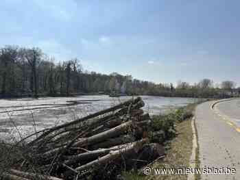Oevers Zoete Waters zien er kaal uit en daar is een goede reden voor: “Kapwerken zijn noodzakelijk”