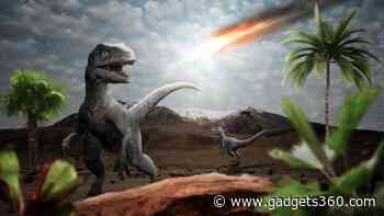 Dinosaurs Weren’t Doomed Before the Asteroid Hit, New Research Suggests