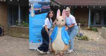 Peter Rabbit sculptures to appear in Newcastle as St Oswald's Hospice announces next animal trail