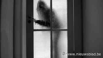 Inbrekers vernielen venster in Koninksem