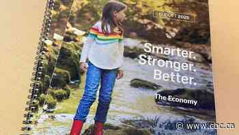 N.L. tables stay-the-course budget with projected $372M deficit and record spending