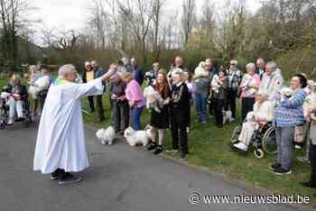 26 maltezers gezegend op 24ste treffen Maltezerclub