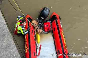 FW Bremerhaven: Feuerwehrtauchergruppe rettet Vierbeiner aus der Geeste
