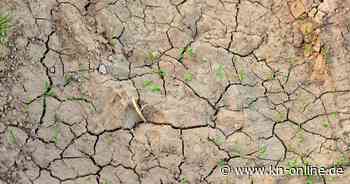 Was bedeutet die Dürre im Frühjahr für Tiere, Wälder und Gewässer?