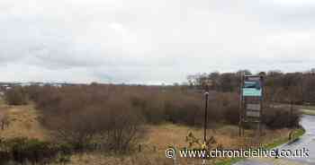 Gosforth Business Park new industrial storage unit approved by Councillors