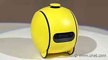 Need Fashion Advice? Samsung's Ballie Robot Can Help Thanks to Google AI Upgrade