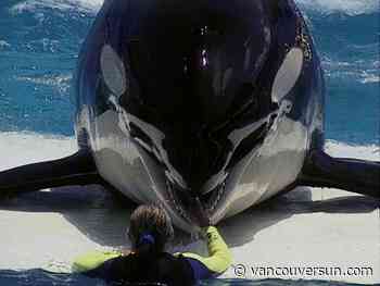 50 years ago, Lolita the orca was captured off the coast of B.C. A new film follows the fight to set her free