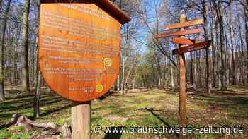 Erholung pur im Harz: Hier kann in Herzberg die Seele chillen