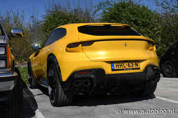 Gespot – Een knalgele Purosangue op vers kenteken