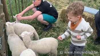 De Schaapskooi opent deuren tijdens lammetjesdag: schapen knuffelen en lammetjes pap geven
