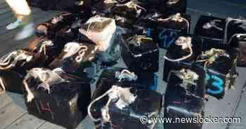 Onderweg naar Amsterdam onderschept: megapartij van 800 kilo cocaïne in beslag genomen