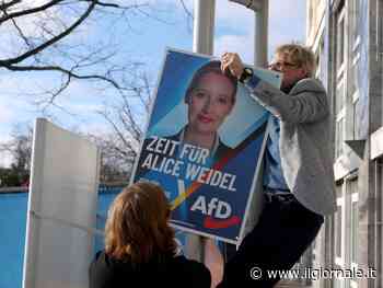 La bomba dell'Afd, la Trump-App di Bonelli e i dazi: quindi, oggi...