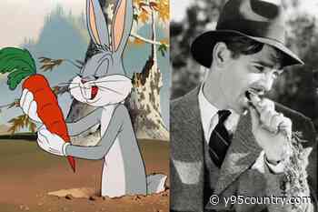 Bugs Bunny Lied to Us — the Mind-Blowing Reason We All Think Rabbits Love Carrots (They Don’t)