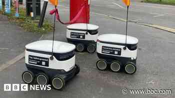 Robot delivery scheme likely to expand in city