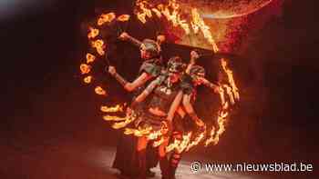 Een lichtspektakel, circustheater, speciale bieren en wilde snuiten: dit zijn onze uittips
