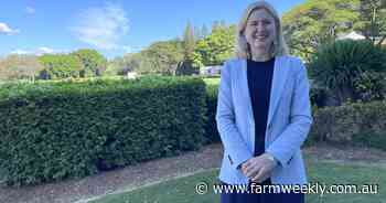 Labor sets up its play for beef vote: What they're promising on trade talk