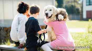 Zorghond Dribbel biedt in Schoten emotionele steun: “Een dier kan vaak sneller het ijs breken dan een mens”