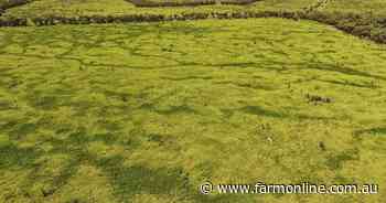 Highly regarded breeding and backgrounding property sold after auction