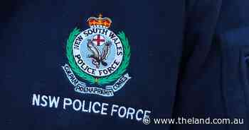 Police investigating after wedge-tailed eagles found dead on property