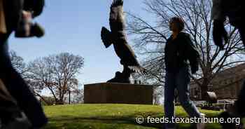53 international students’ immigration statuses revoked at four more Texas universities
