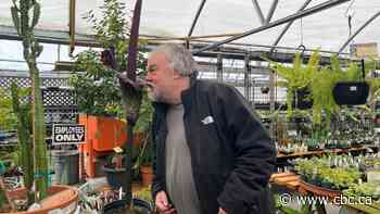 Winnipeggers line up to catch a whiff of 'disgusting' flower