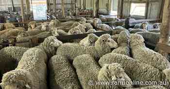 Premium KI grazing property hits the market after long family ownership