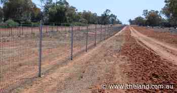 Hypocrisy when it comes to biosecurity | Double shot long black