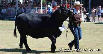 How to watch the 2025 Sydney Royal Show from the comfort of your home